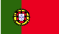 Português falado 